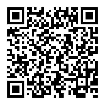 湛江市中級(jí)人民法院軟件開發(fā)服務(wù)與成品軟件租賃購(gòu)買項(xiàng)目解析