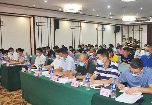 湛江召開全市社保工作會(huì)議，聚焦數(shù)字化轉(zhuǎn)型與軟件開發(fā)應(yīng)用